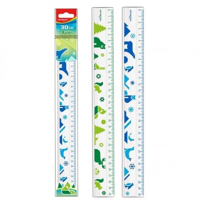 Règle Plate 30cm Imprimée Motifs Colorés
